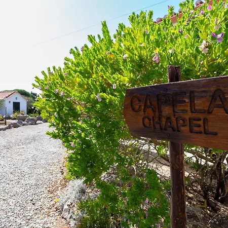 Quinta Sao Martinho 팜스테이 Reguengo Grande