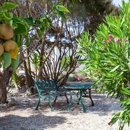 Quinta Sao Martinho Farm stay