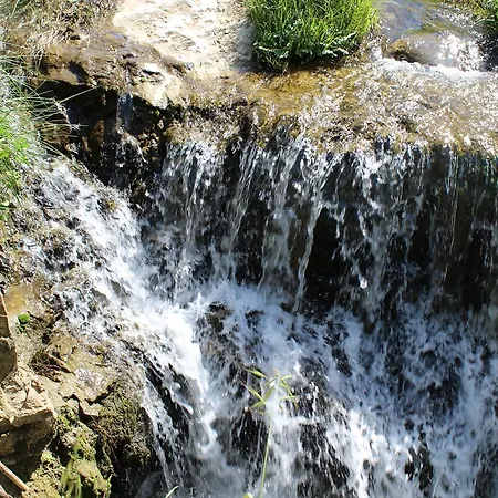 Quinta Sao Martinho